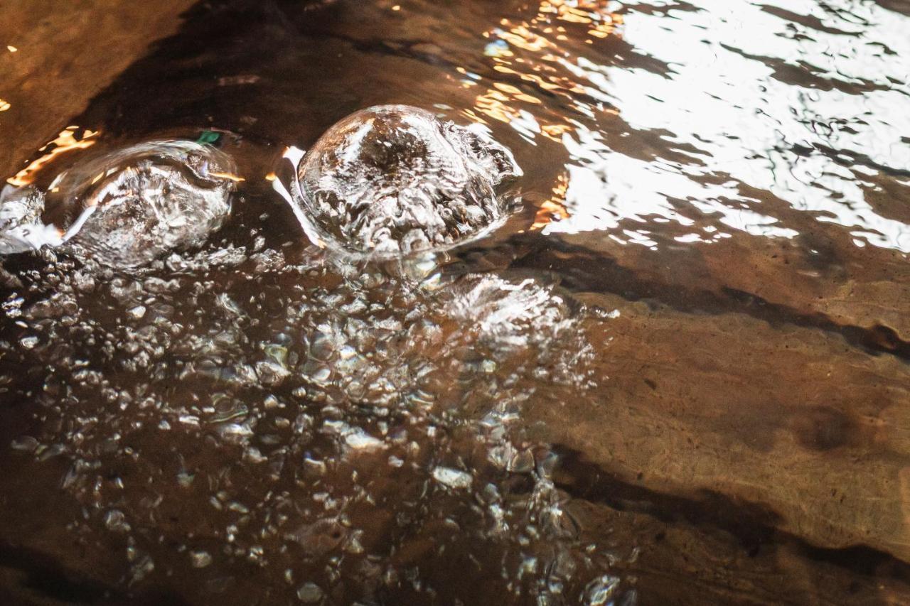 טוואדה Tsuta Onsen Ryokan מראה חיצוני תמונה